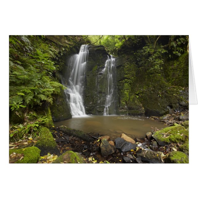 Hästskoformade vattenfall, Matai Falls Hälsningskort (Framsidan Horizontal)