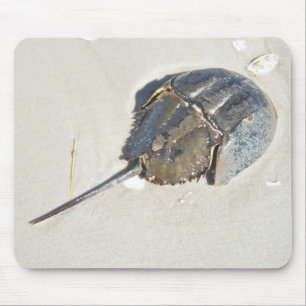 Hästskokrabba Mousepad Musmatta