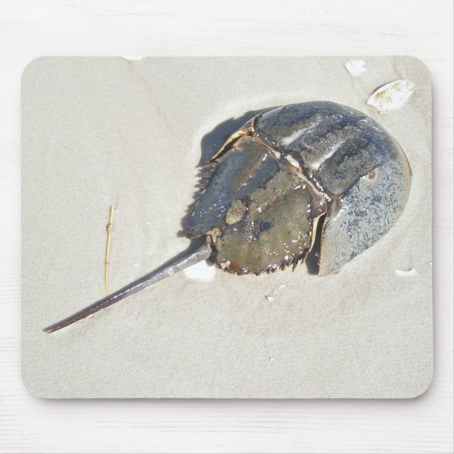 Hästskokrabba Mousepad Musmatta (Framsidan)