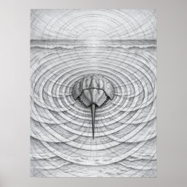 Hästskokrabba Tidvattengeometri Konst Poster