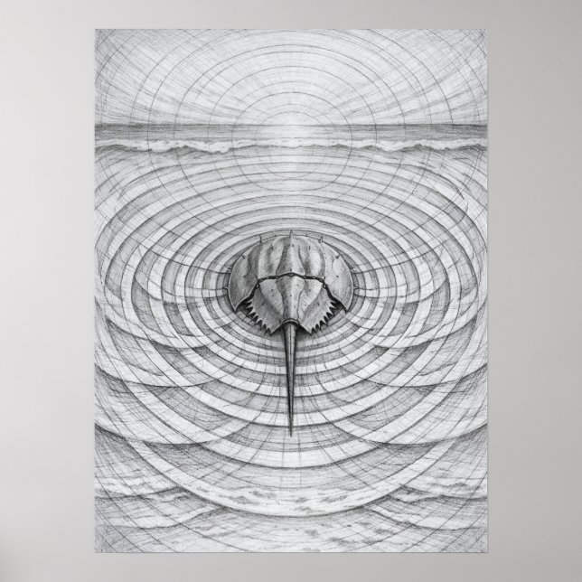 Hästskokrabba Tidvattengeometri Konst Poster (Framsidan)