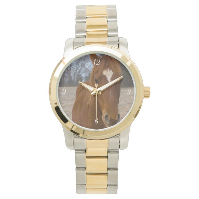 Hästsköldpadda Armbandsur (Framsida)