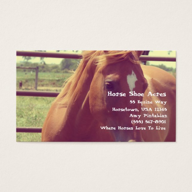 Hästskon - Acres Soft Focus Sorrel Visitkort (Framsidan)
