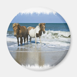 Häststrandmagnet Magnet