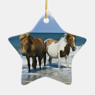 Häststrandprydnad Julgransprydnad Keramik