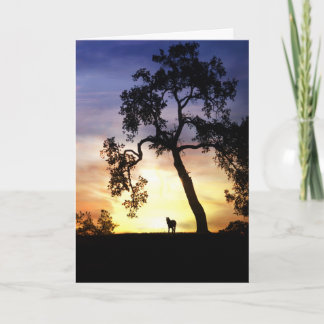 Hästsymbolkort Kort