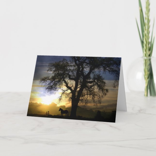 Hästsymbolkort Kort (Framsida)