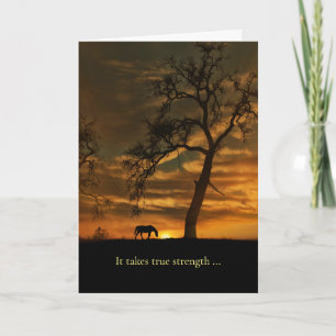 Hästsympati för nedbrytning av hästen kort