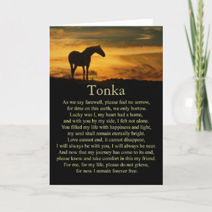 Hästsympati Förlust av eget namn på häst Kort