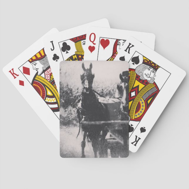 Hästteamet #häst #amish casinokort (Baksidan)