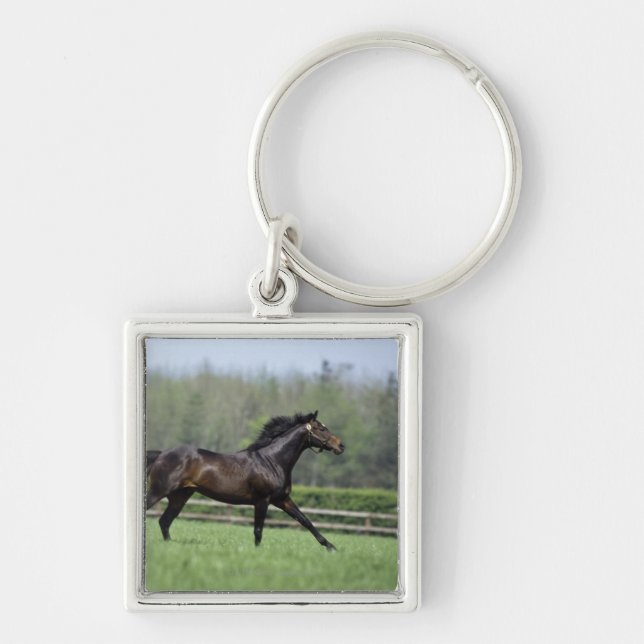 HästThoroughbreds, Wassl 1988, Fyrkantig Silverfärgad Nyckelring (Framsidan)