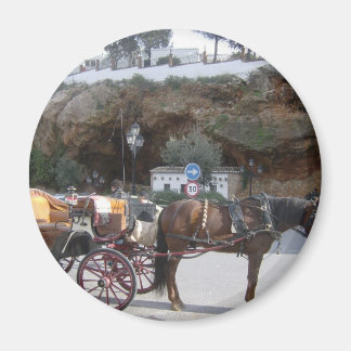 Hästtransport i Mijas Magnet