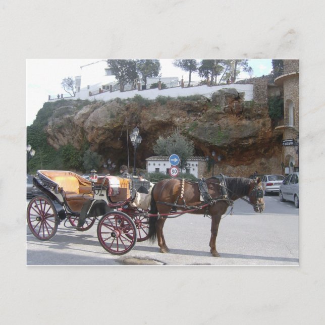 Hästtransport i Mijas Vykort (Framsida)