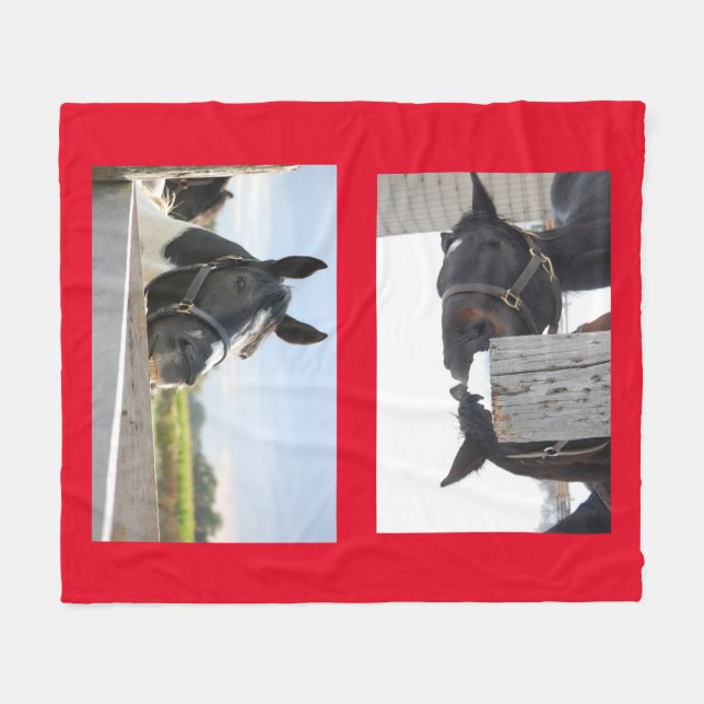 Hästtuggning på ett stängsel fleecefilt (Framsidan (Horisontell))