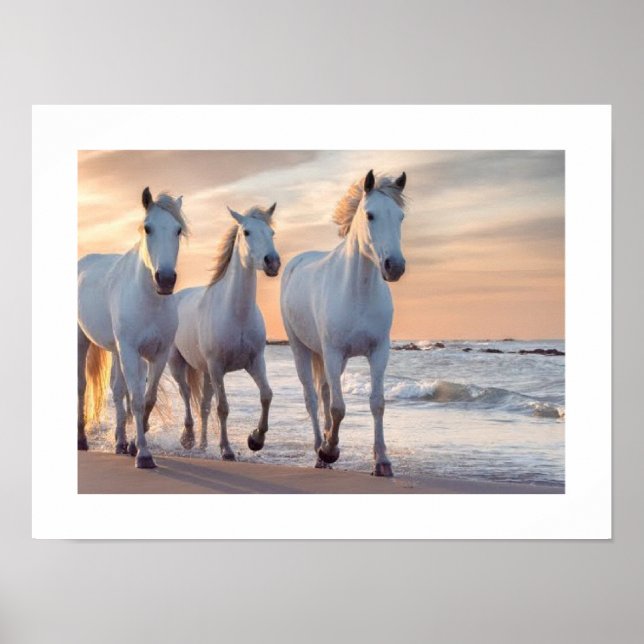 Hästvägg Decor Poster (Framsidan)