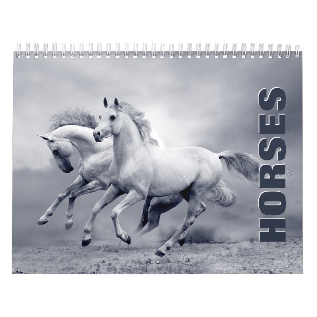 Hästväggskalender Kalender (Omslag)