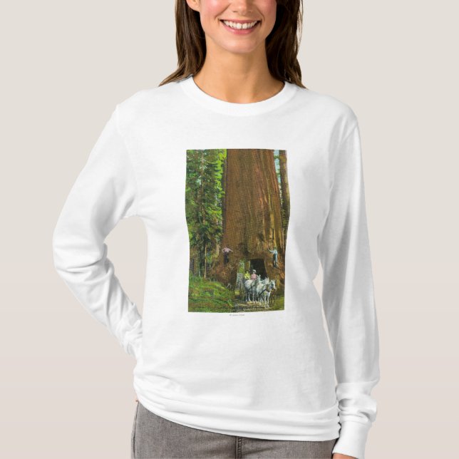 Hästvagn under en jätte- redwoodträd t-shirt (Framsida)