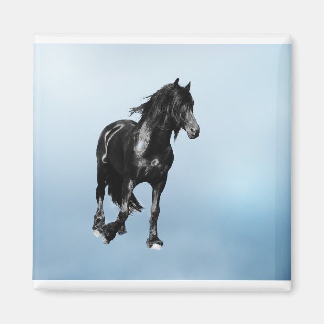 Hästvändning plötsligt magnet (Framsidan)