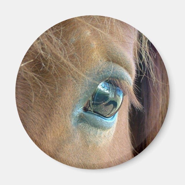 Hästvision Magnet (Framsidan)