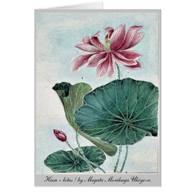 Hasu - lotusblomma/vid Megata Morikaga Ukiyo-e. OBS Kort (Framsidan)