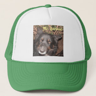 Hat Husky Collie Kor Truckerkeps
