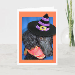 Hat-kortet happy halloween Party Pudel Kort