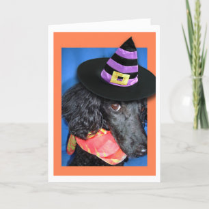 Hat-kortet happy halloween Party Pudel Kort