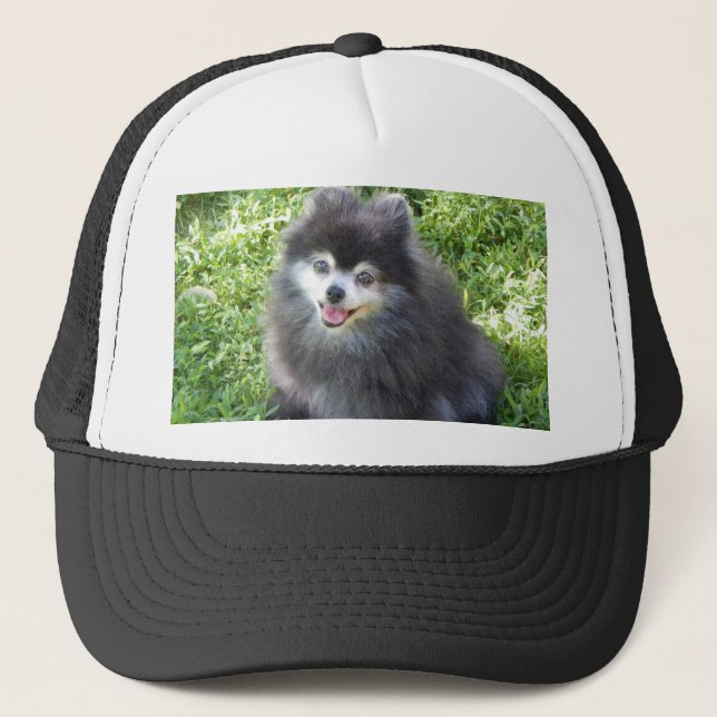 hat med originalfoto av Pomeranian Keps (Framsida)