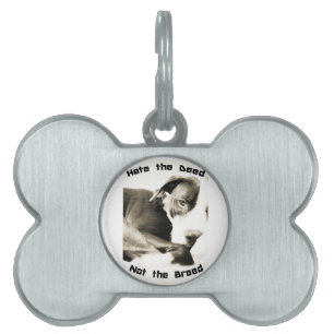 Hata gärningsmannen och inte den rasande pitbull namnbricka husdjur