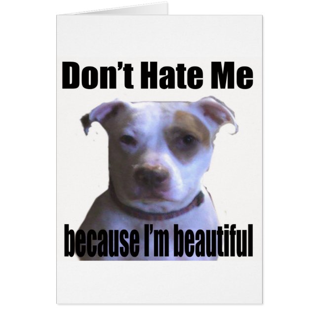 Hata mig inte för att jag är vacker Pit Bull Hälsningskort (Framsidan)