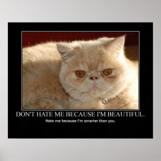 Hata mig inte... Katt Artwork roligt Poster
