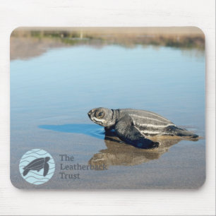 Hatchling Mousepad Musmatta