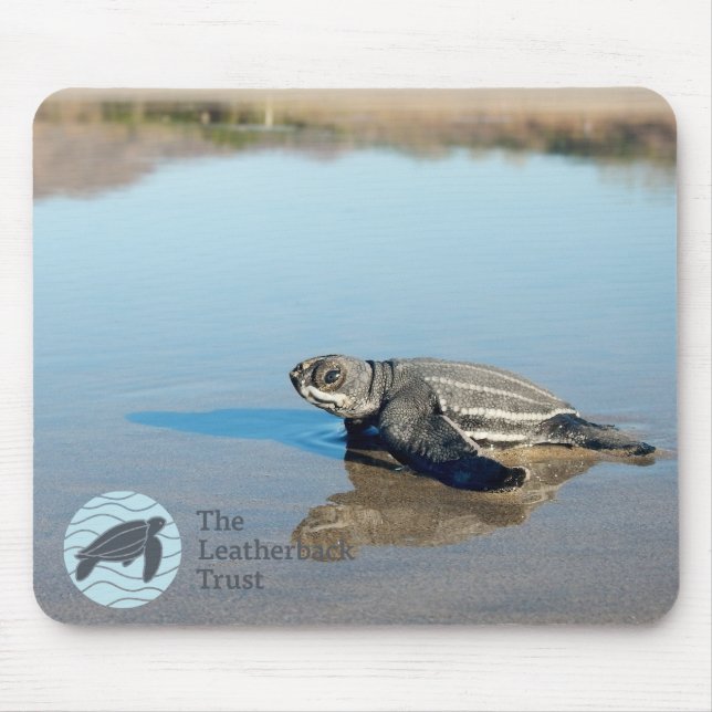 Hatchling Mousepad Musmatta (Framsidan)