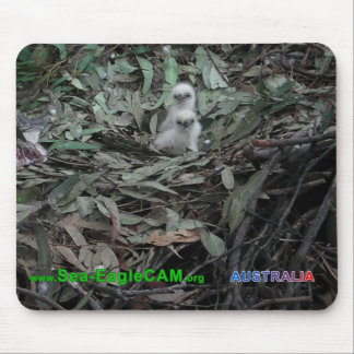 Hatchlings S1 & vågrät för S2 Mousepad Musmatta