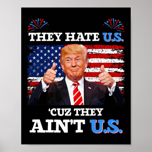 Hate Us Cuz De är inte USA Donald Trump Conserv Poster (Framsidan)