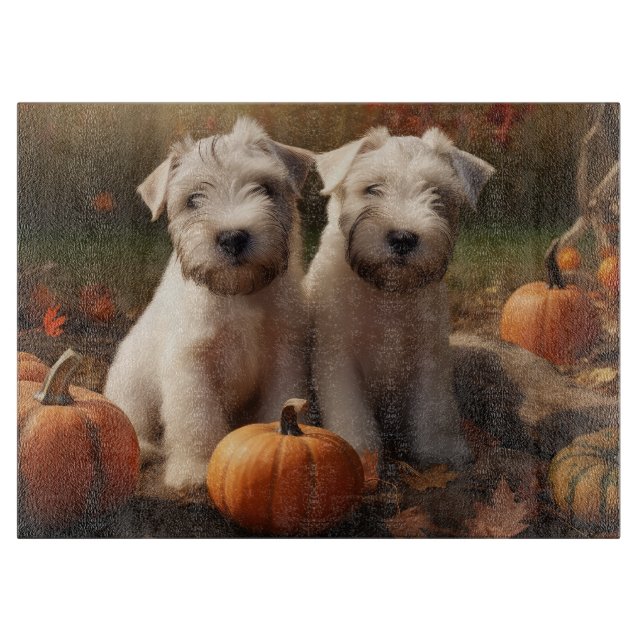 Haten Terrier Puppy Autumn Delight Pumpkin (Framsidan)