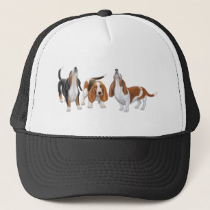 Hatt för BassethundTrio Keps