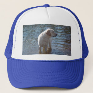 Hatt för Labrador Retriever på sjön Truckerkeps