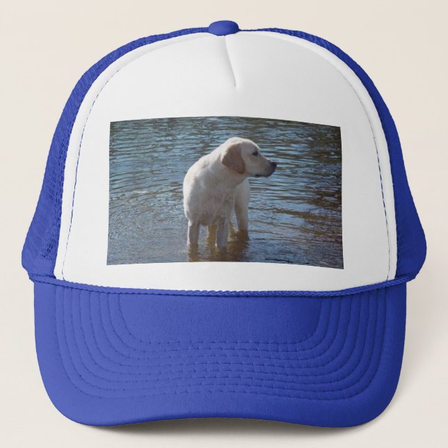 Hatt för Labrador Retriever på sjön Truckerkeps (Framsida)