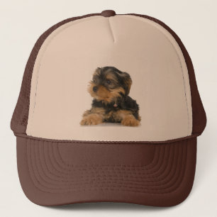Hatt för Yorkshire Terrier Keps