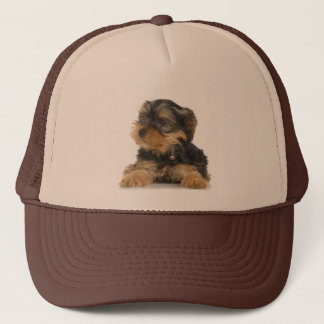 Hatt för Yorkshire Terrier Keps