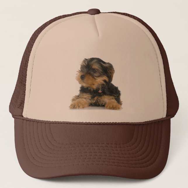 Hatt för Yorkshire Terrier Keps (Framsida)