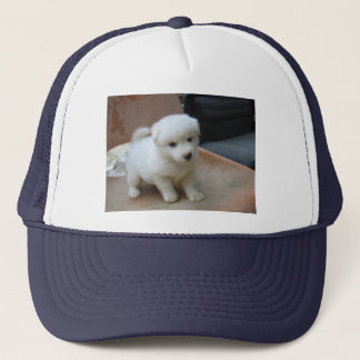 Hatt Truckerkeps
