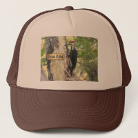 Hattar, Caps, Lids!