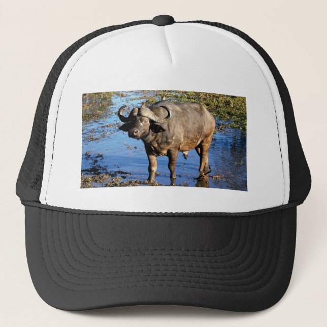 Hattar & lock för uddbuffelsafari keps (Framsida)