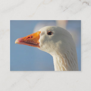 Haughty White Goose Visitkort
