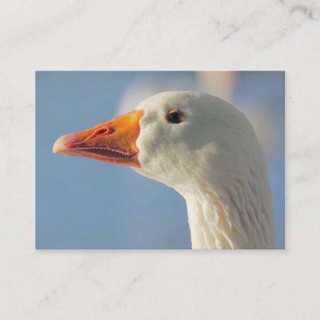 Haughty White Goose Visitkort (Framsida)