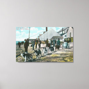 Hauling av vatten med DogsNome, AK Canvastryck