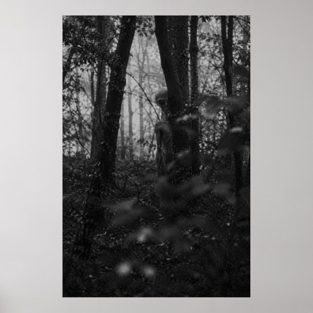 Haunted Forest – Mysterious Shadow in the Woods Poster (Framsidan)