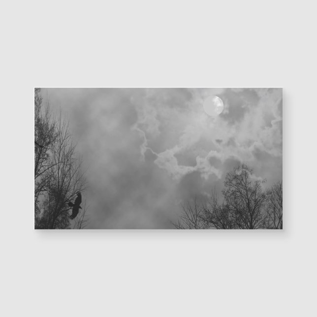 Haunted Halloween Himlar med Ravens (Framsida)